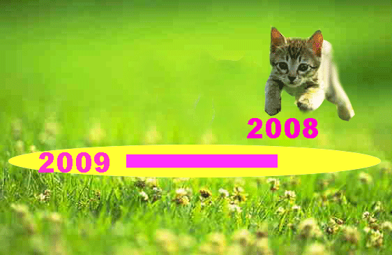 CAT1.gif