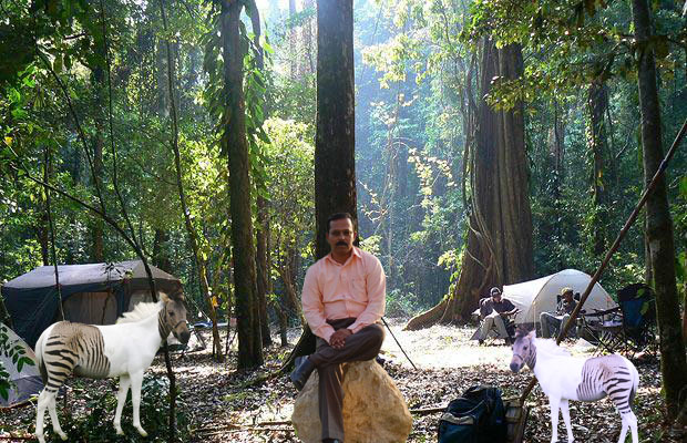 forest1 copy.jpg