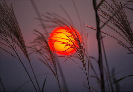 orange-sunset-yamashita-1128214-ga.jpg
