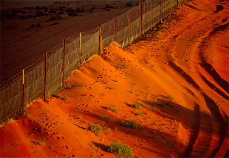 orange-sunlight-taylor-514802-ga.jpg