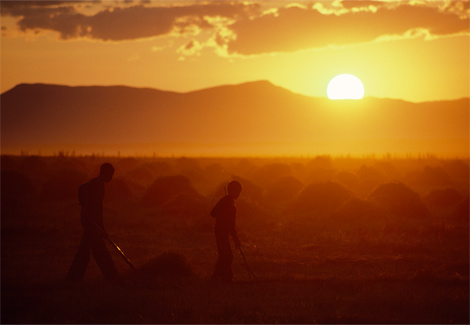 orange-landscape-stanfield-415579-ga.jpg