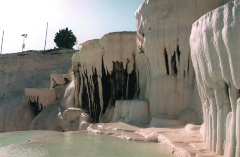 Picture21.jpg