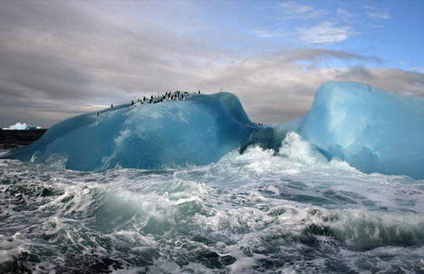 Antarctica South Sandwich Islands.jpg