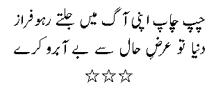 ahmedfaraz19-2d.gif