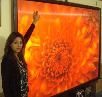 Large LCD.JPG