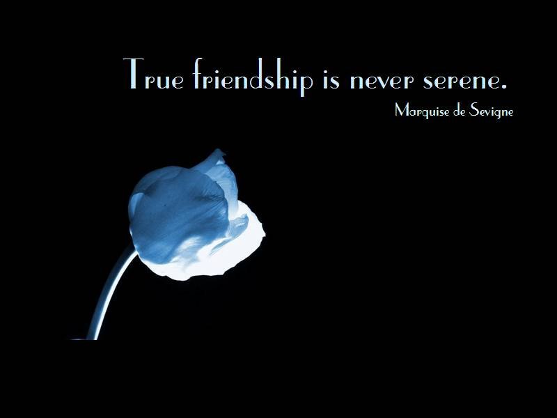 Famous_Friendship_Quote.jpg