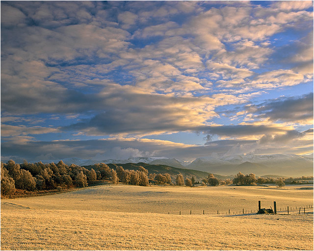Cairngorm-Milk-and-Honey-pa.jpg